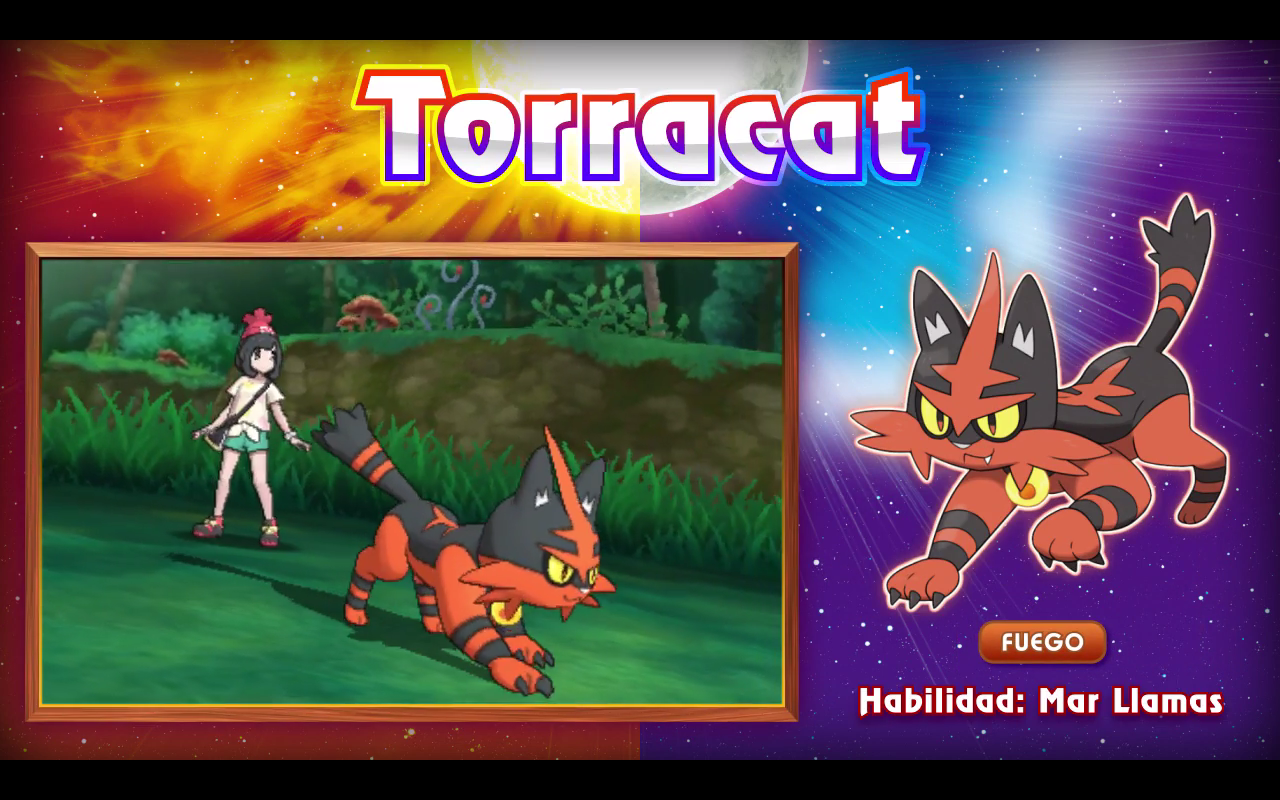 torracat_1